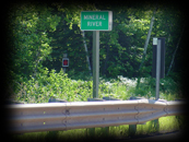 749 Mineral River Roadside